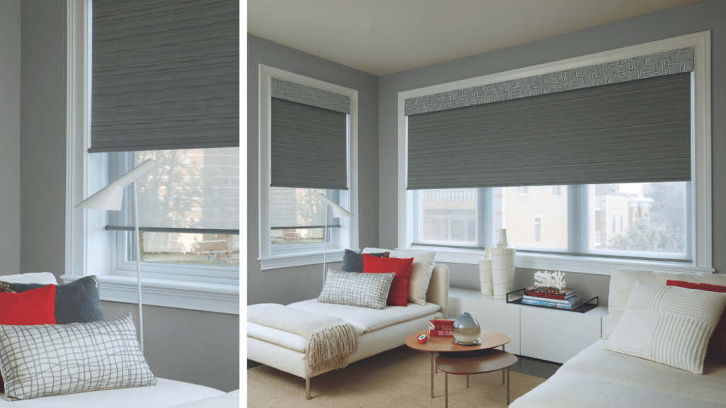 Dual Roller Shades Examples